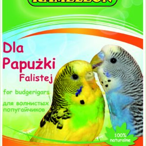 Karma dla papużki falistej