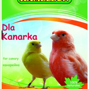 Karma dla kanarka