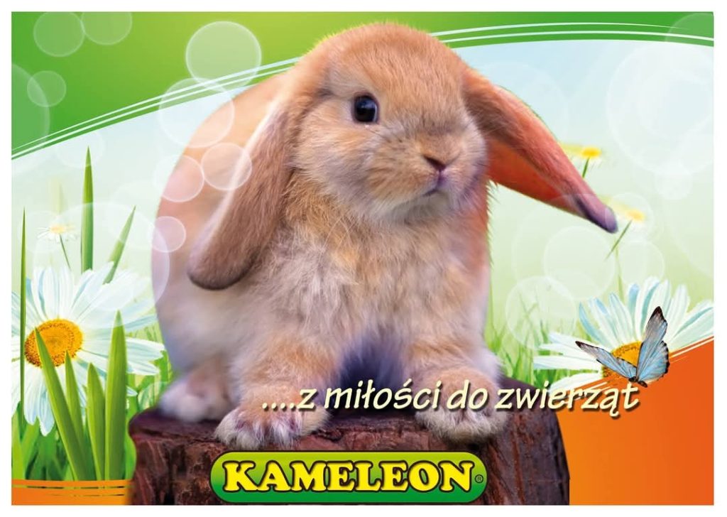 baner z logo kameleon